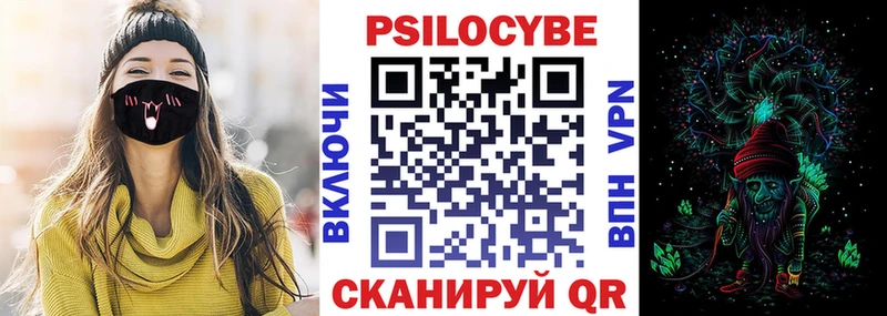 где можно купить   Велиж  Псилоцибиновые грибы Psilocybe 